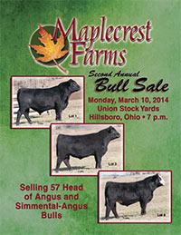 2014 Spring Sale Book cover
