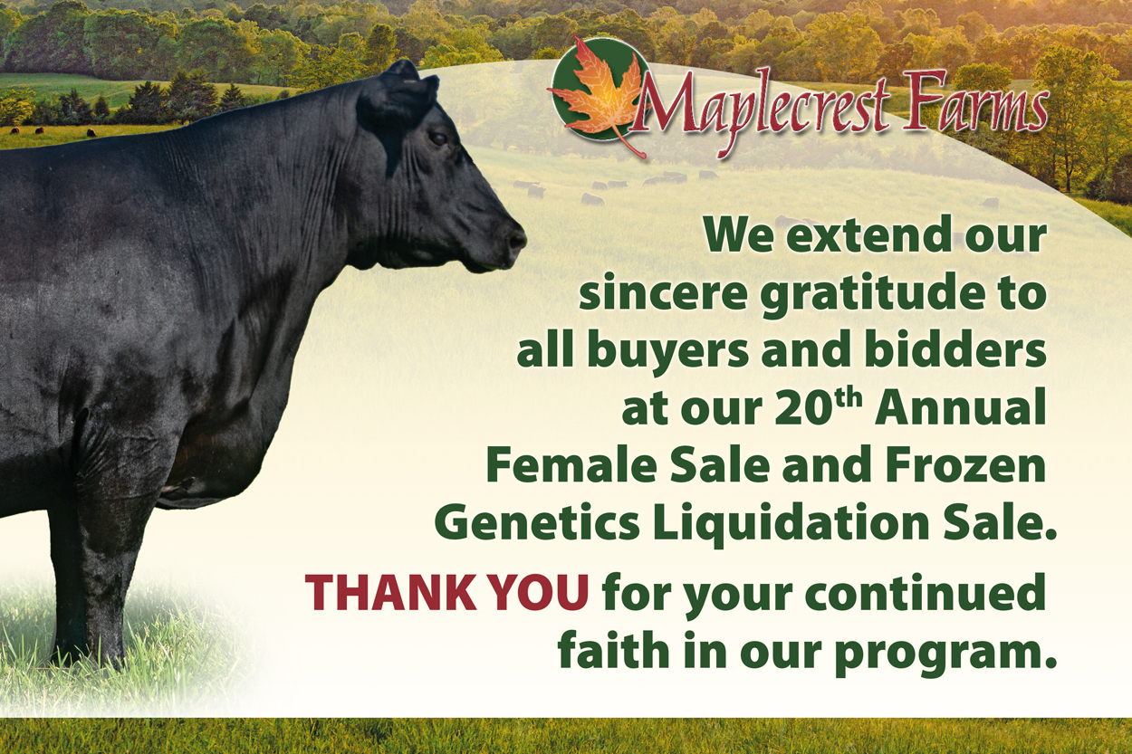 Female Production Sale