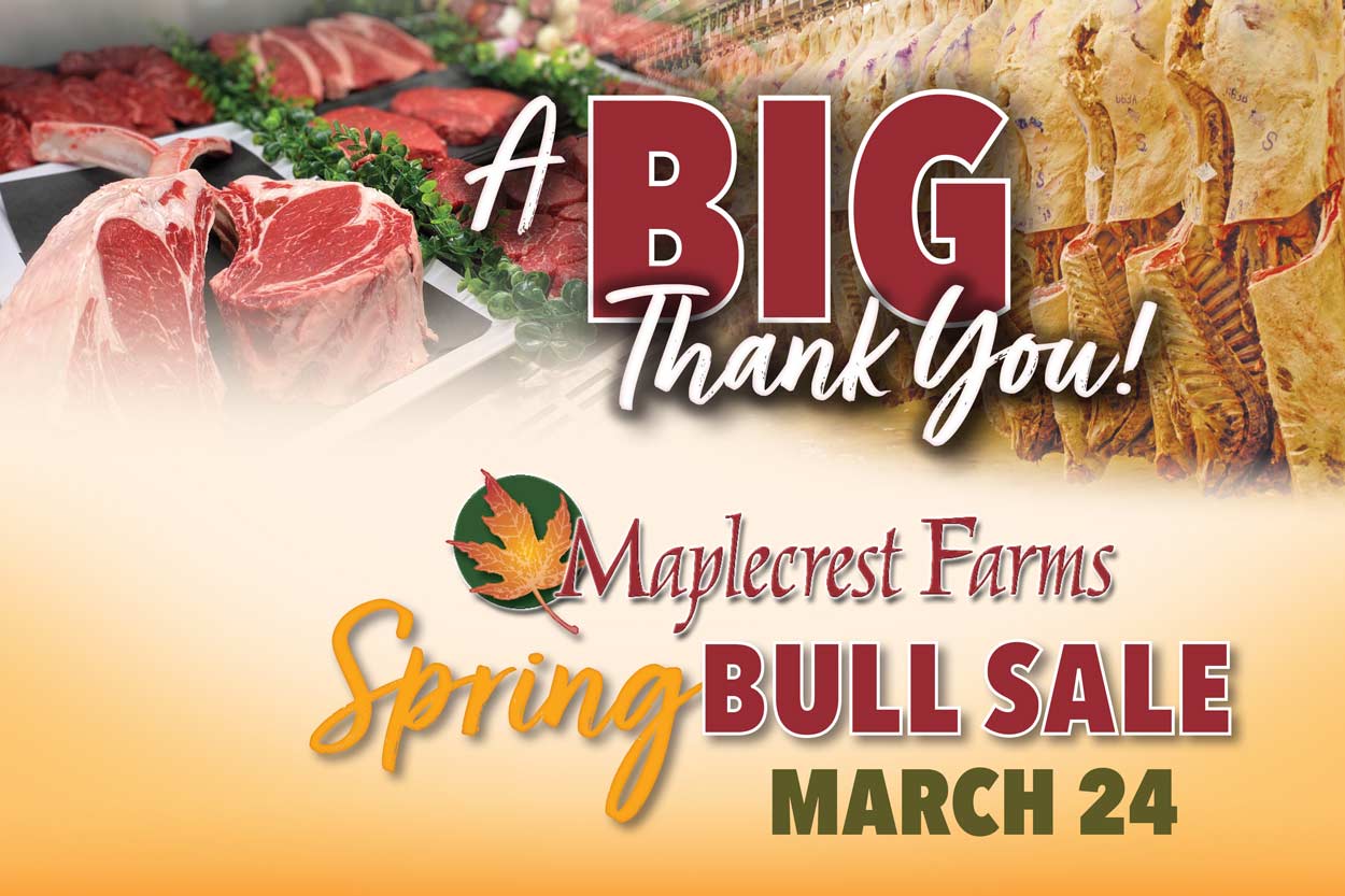 Spring Bull Sale Thank You