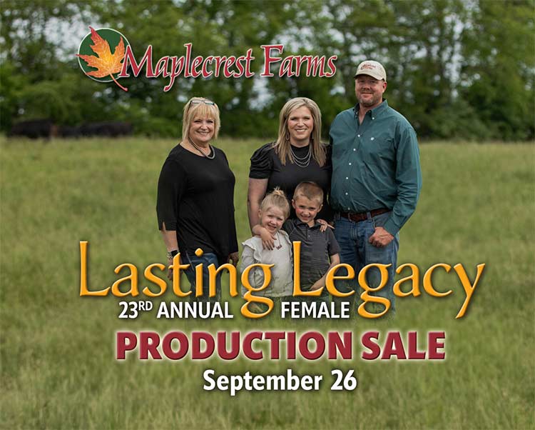 Maplecrest Fall Production Sale Artwork