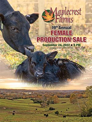 2022 Fall Sale Book cover